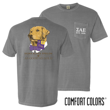 SAE Comfort Colors Retriever Flag Tee