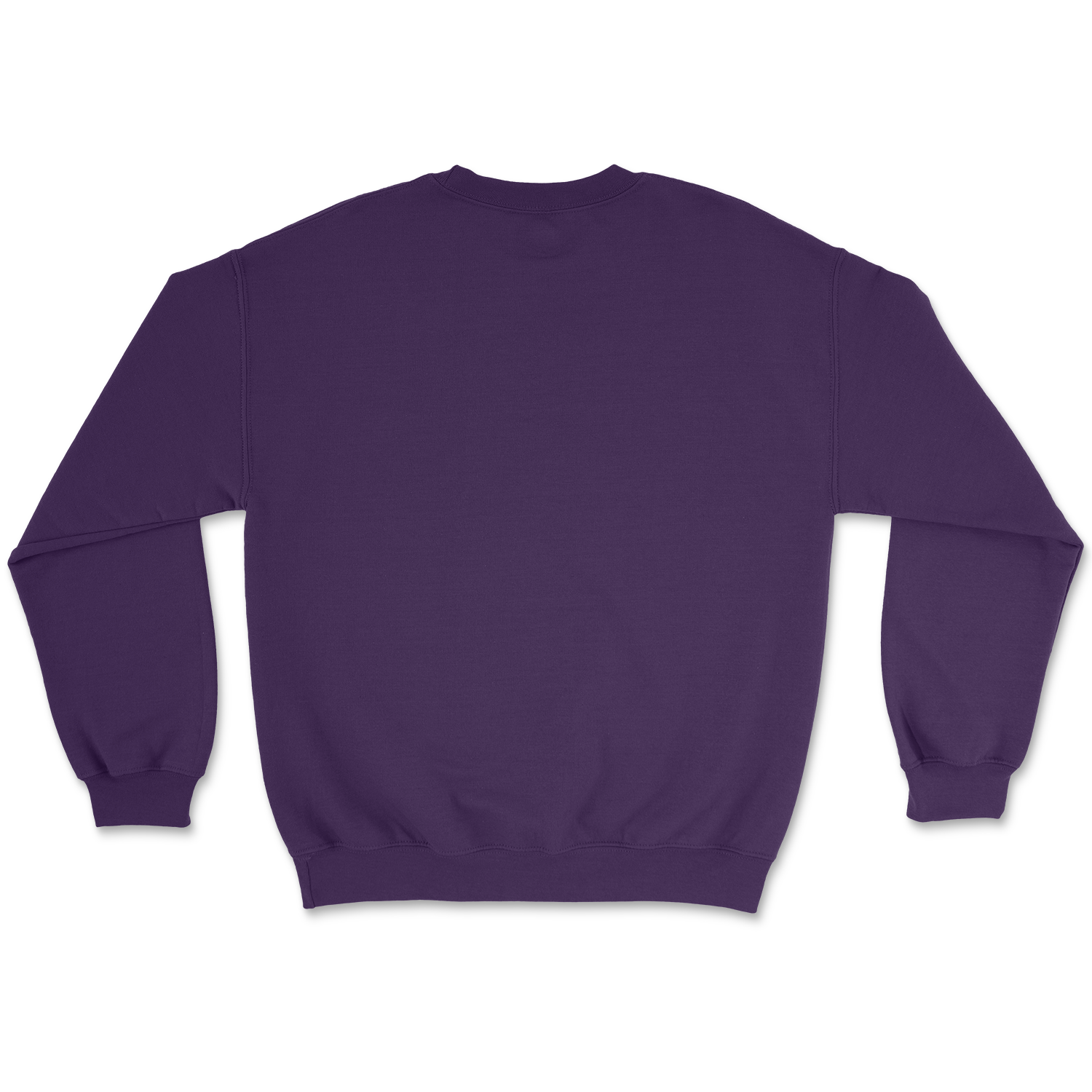SAE College Crewneck Sweatshirt - The Sigma Alpha Epsilon Store