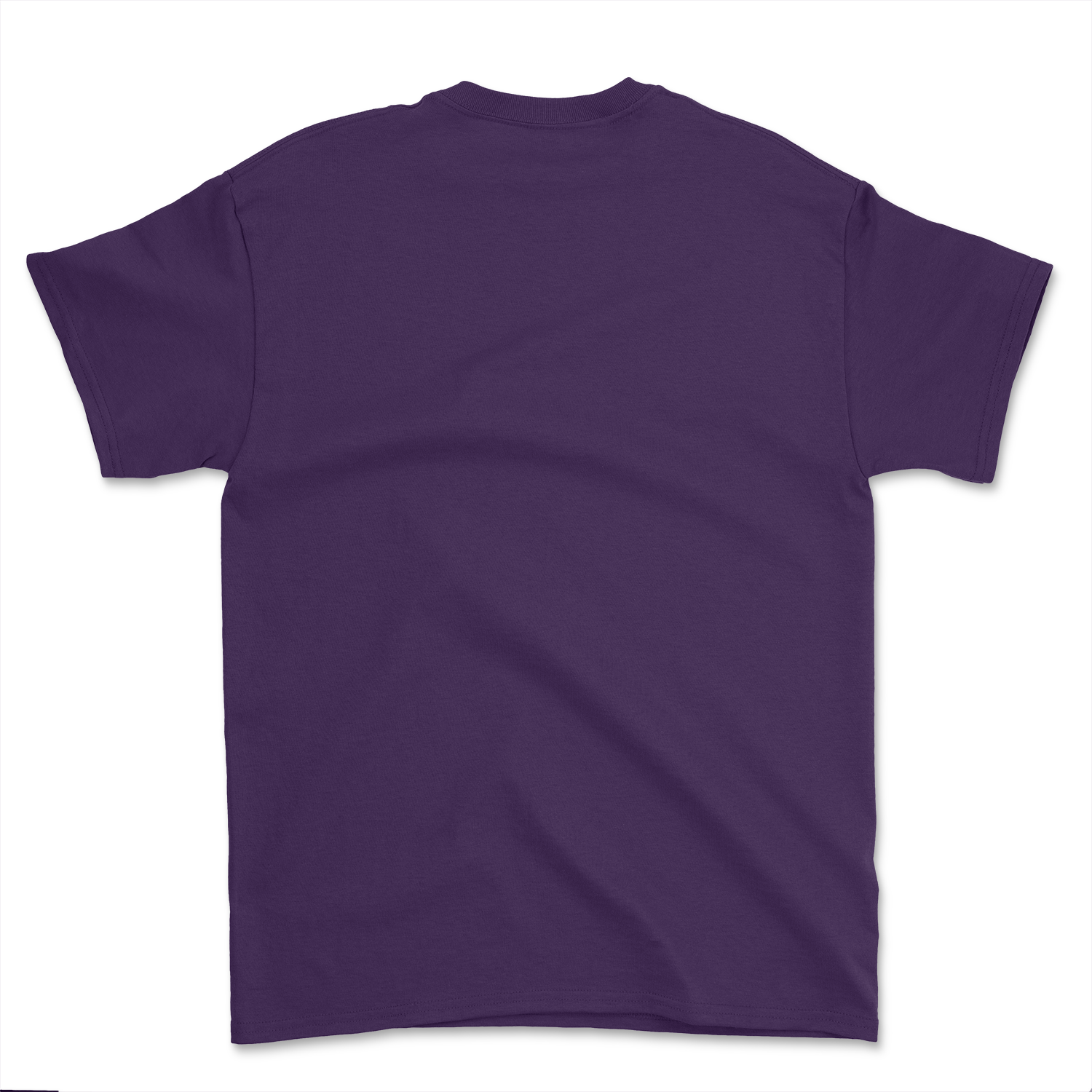 SAE College T-Shirt - The Sigma Alpha Epsilon Store